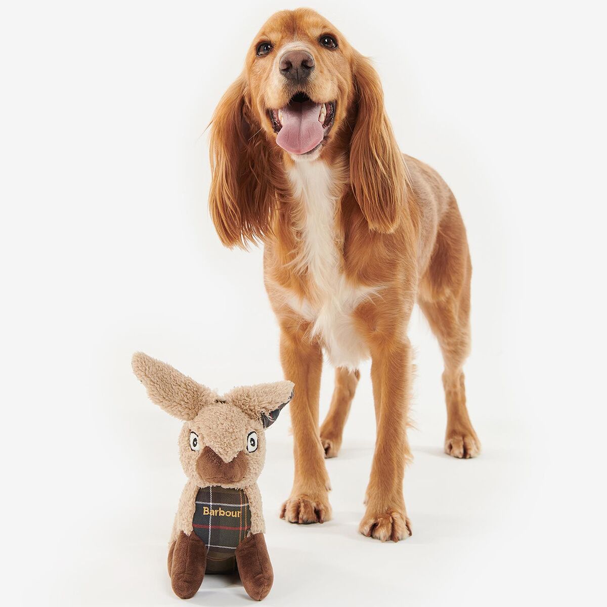 Barbour Rabbit Dog Toy