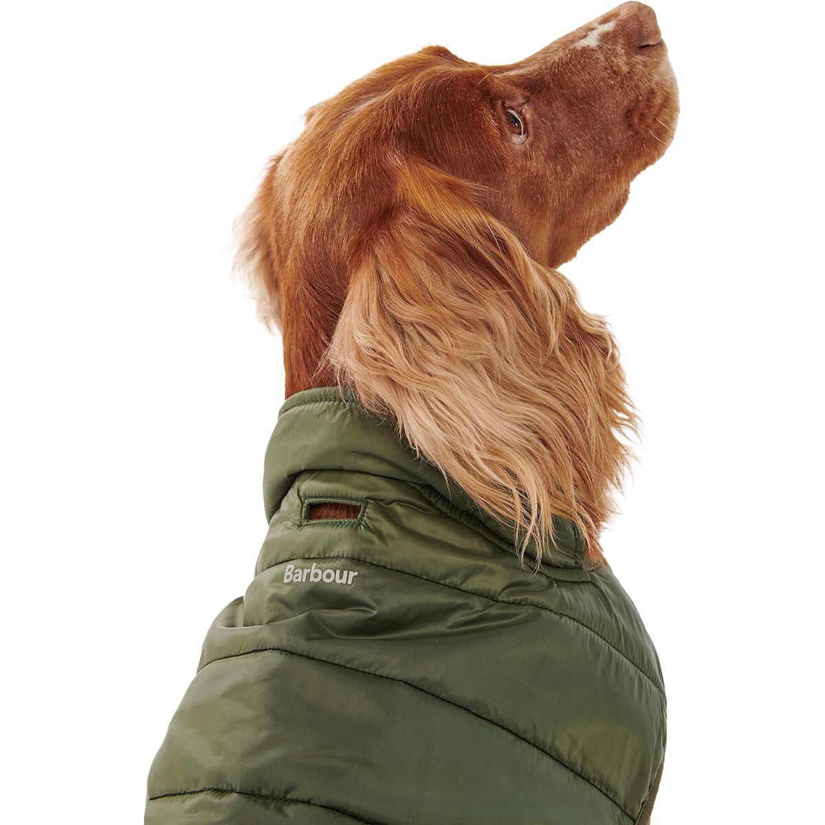 Barbour Baffle Quilted Dog Coat Hike & Camp