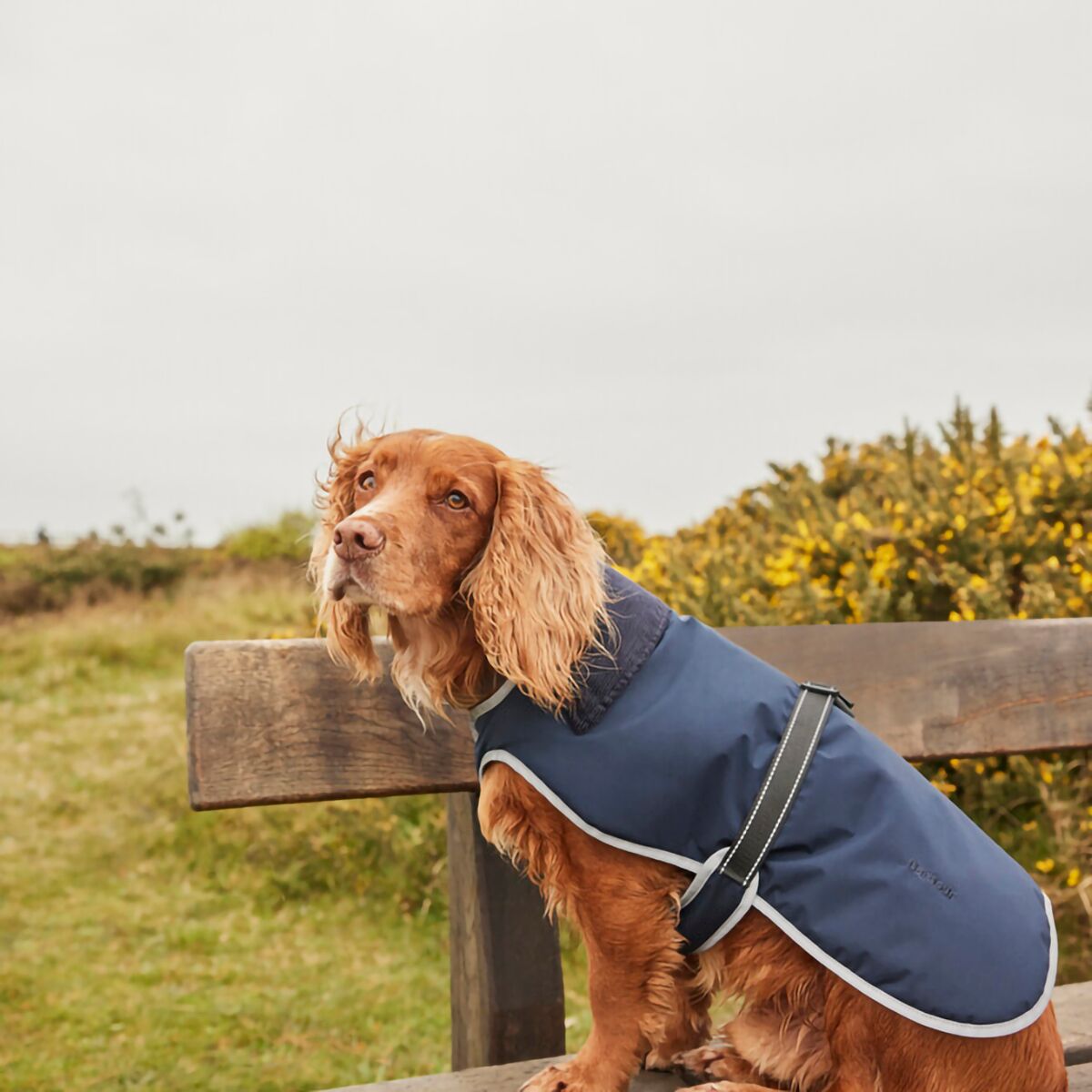Barbour Monmouth Waterproof Dog Coat