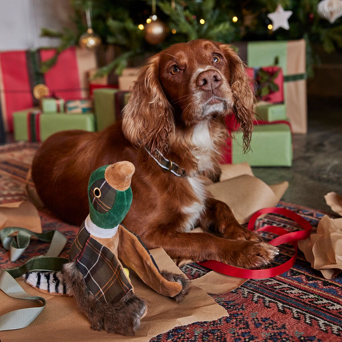 Barbour Pheasant Dog Toy Hike & Camp