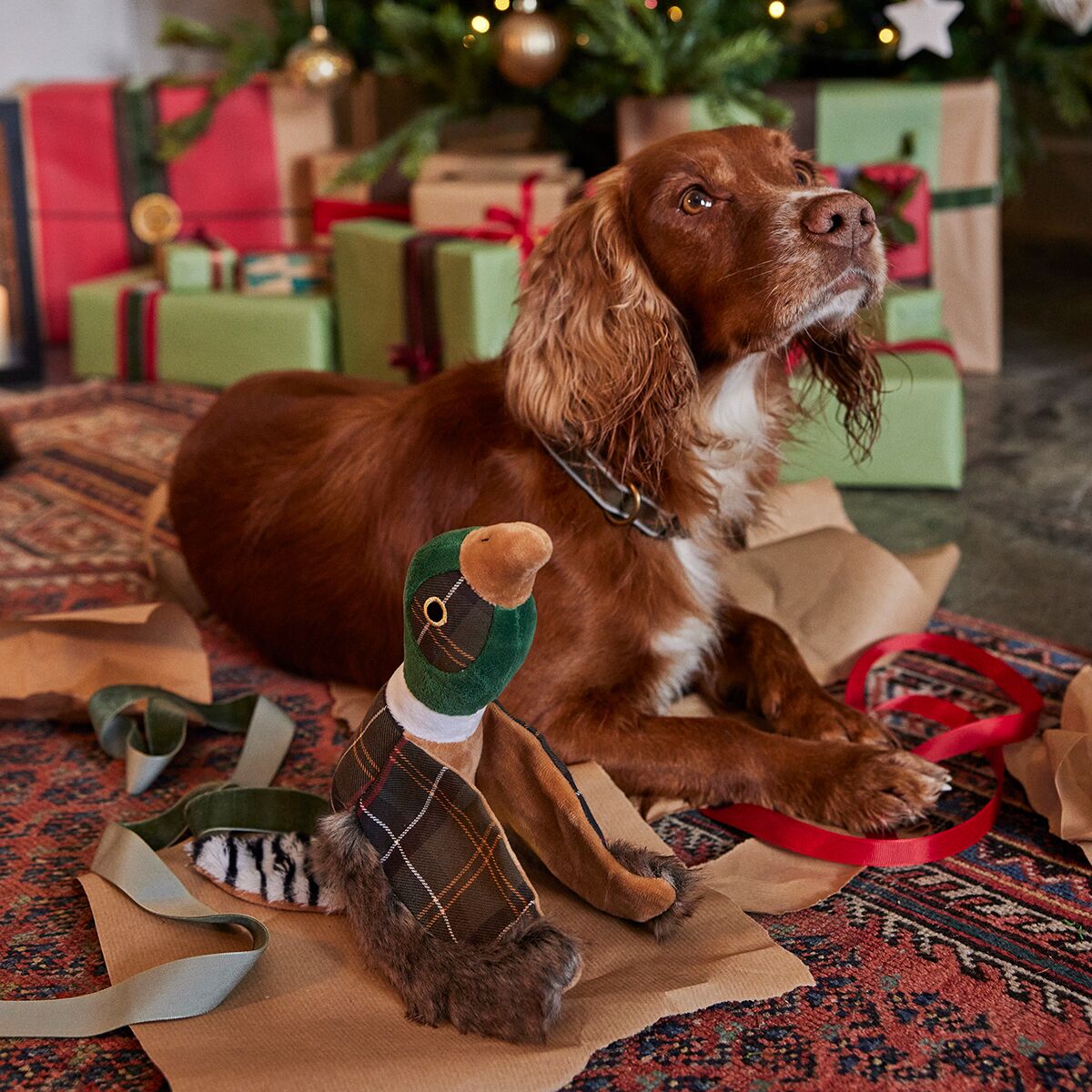 Barbour Pheasant Dog Toy Hike & Camp