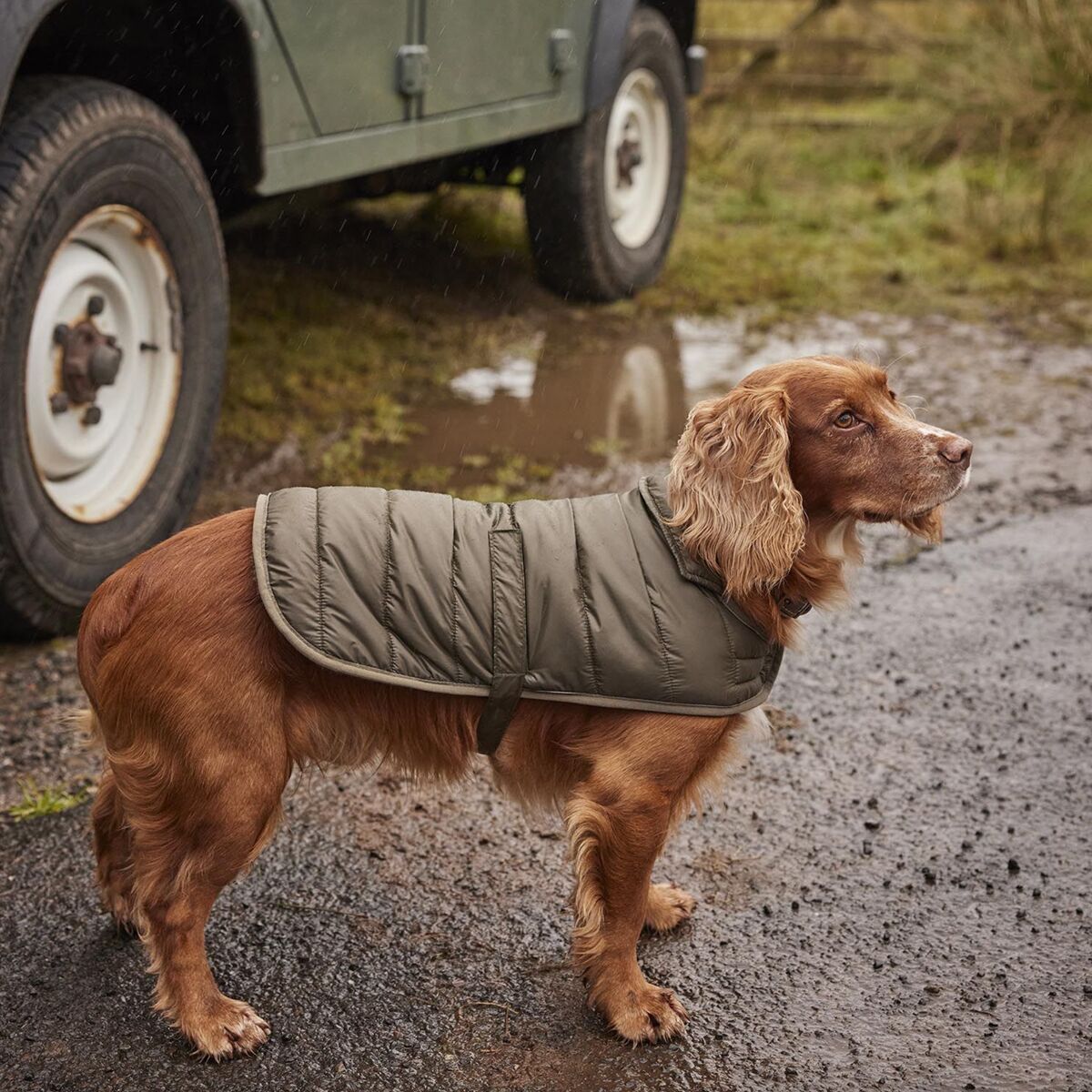 Barbour Baffle Quilted Dog Coat
