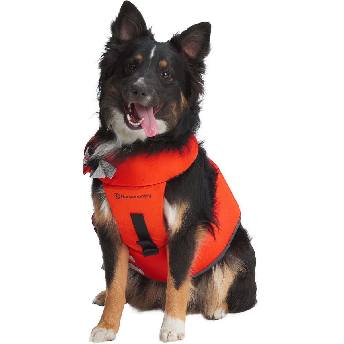 Backcountry x Petco The Dog Flotation Vest Hike & Camp