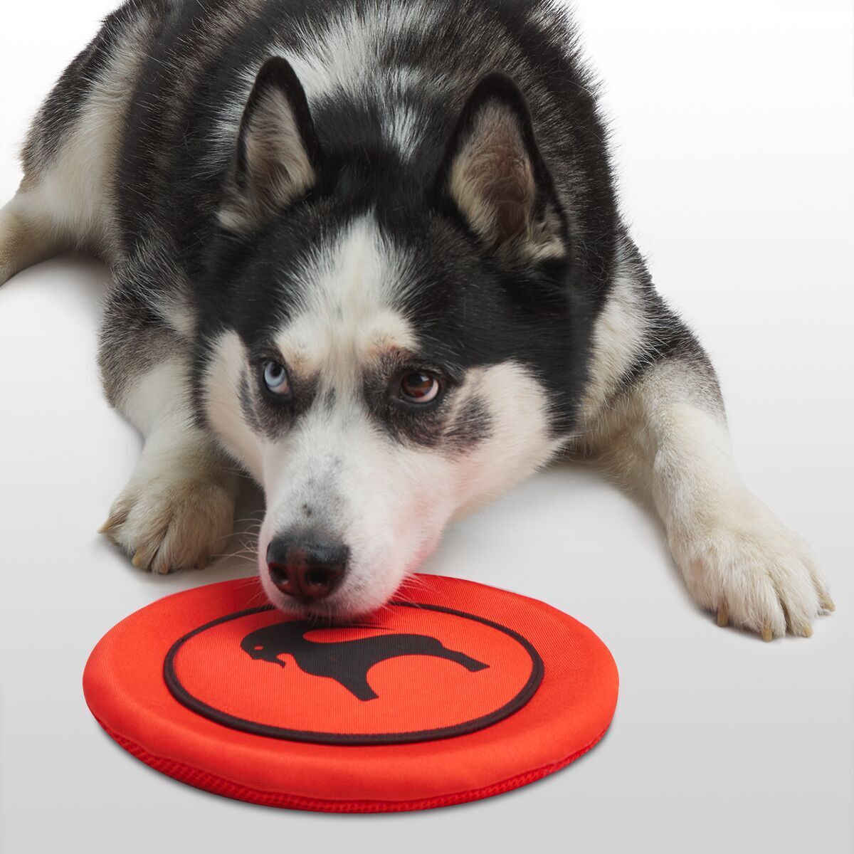 Backcountry x Petco The Flyer Dog Toy Hike & Camp