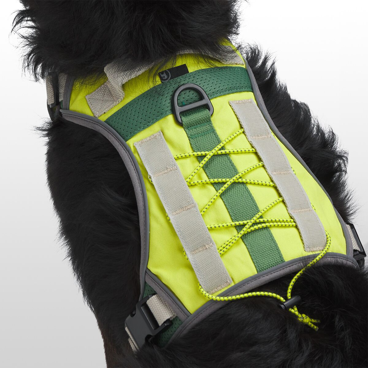 Backcountry x Petco The Modular Dog Harness Hike & Camp