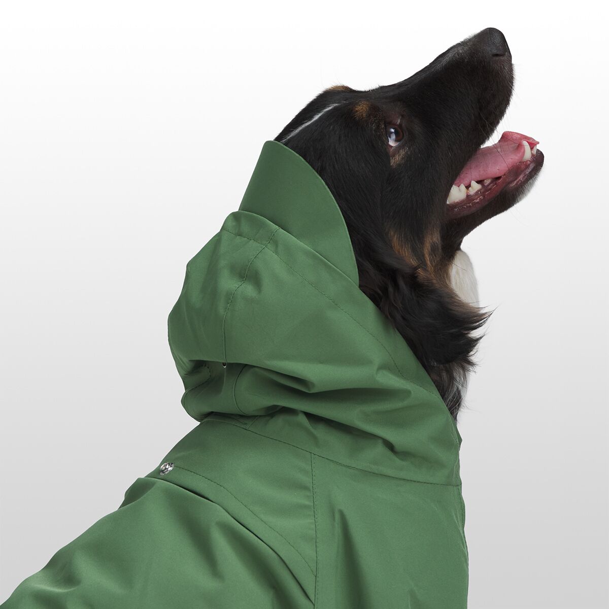 Backcountry x Petco The Dog Rain Jacket Hike & Camp