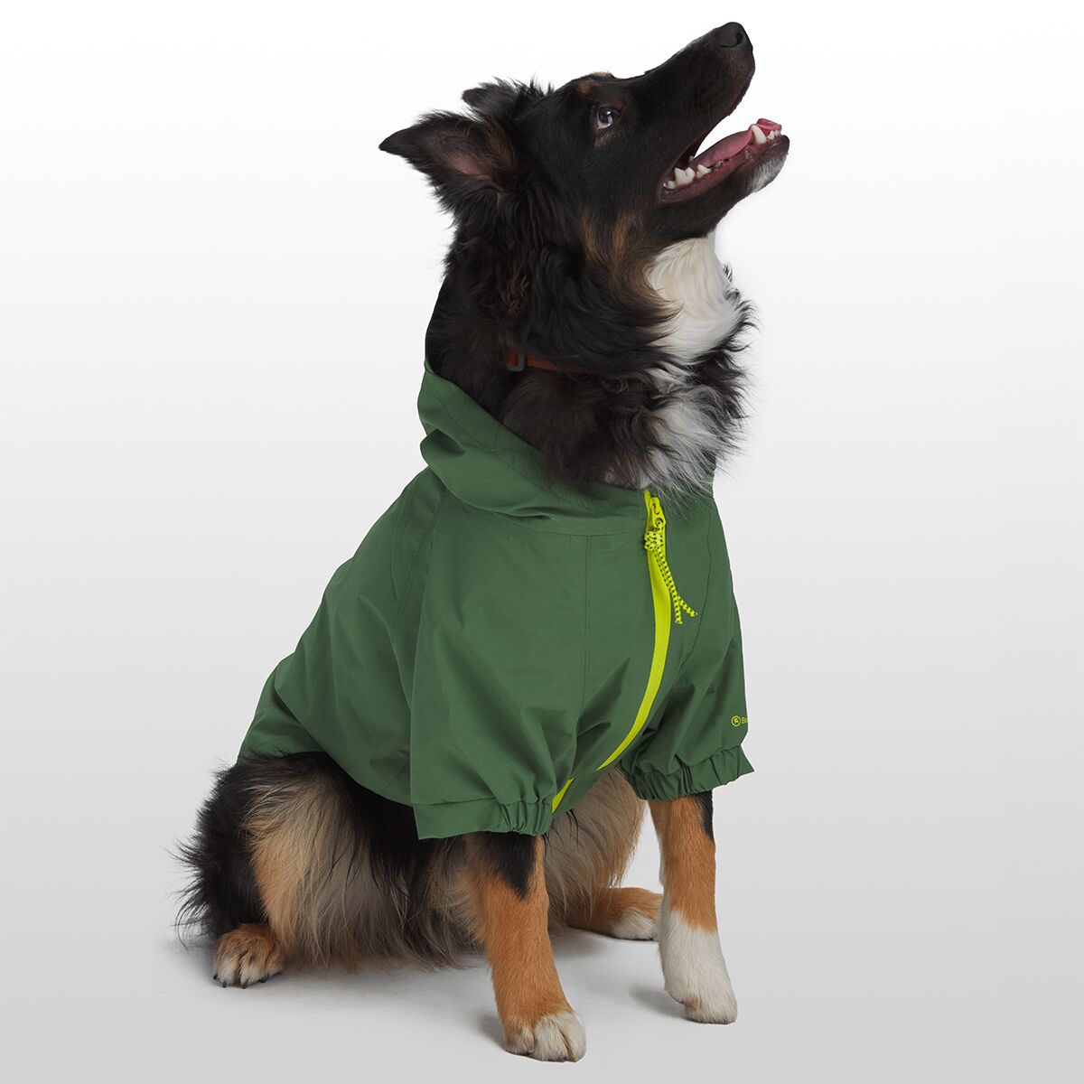 Backcountry x Petco The Dog Rain Jacket Hike & Camp