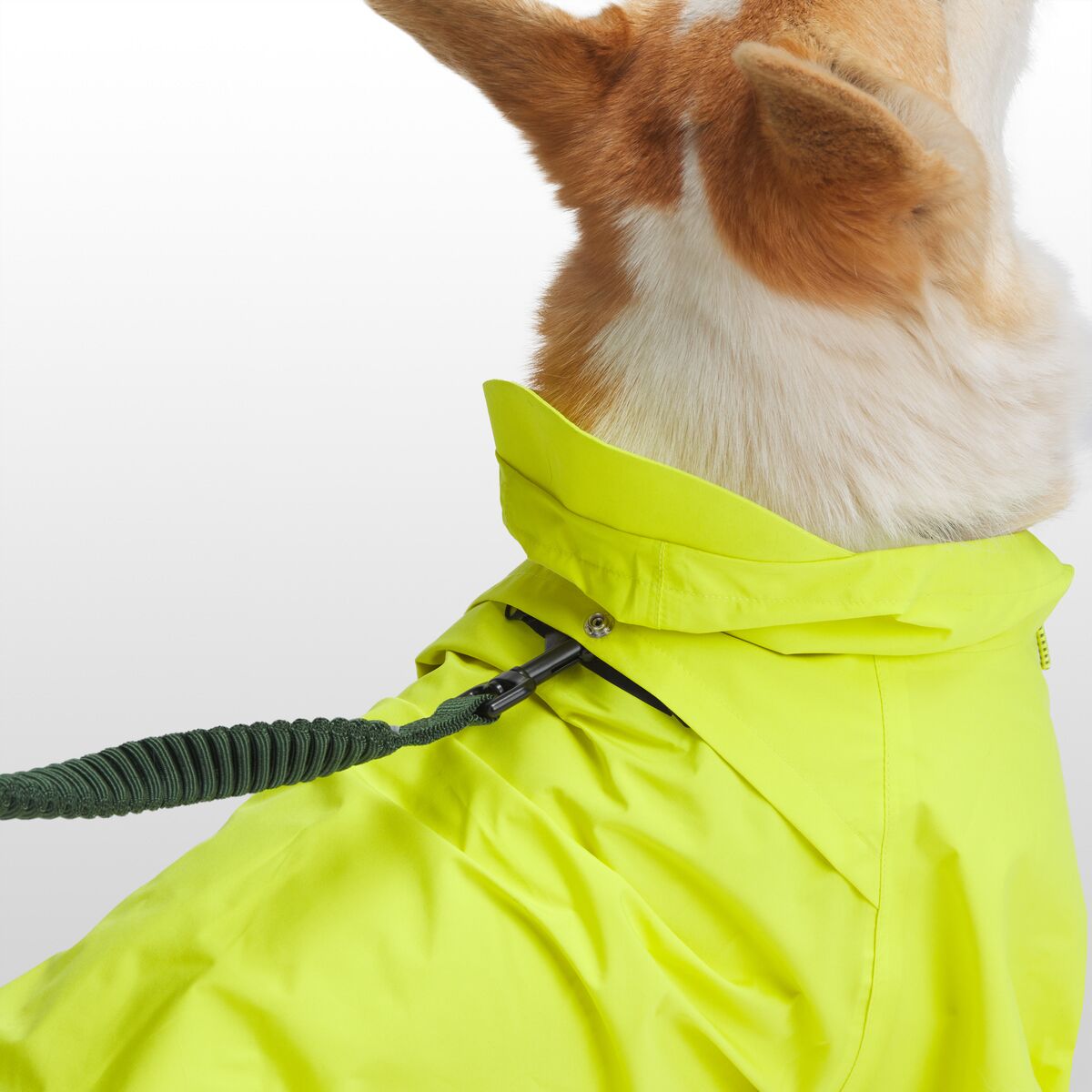 Backcountry x Petco The Dog Rain Jacket Hike & Camp