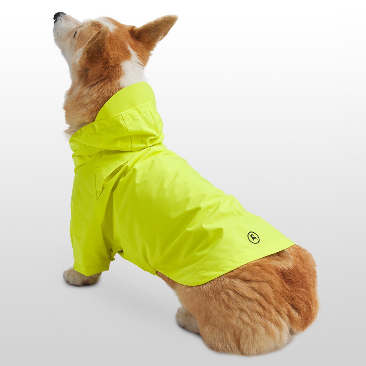Backcountry x Petco The Dog Rain Jacket Hike & Camp