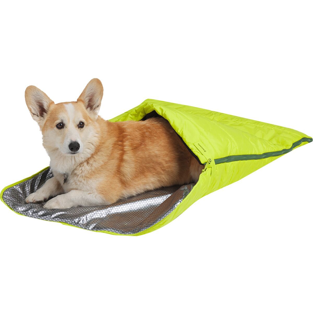 Backcountry x Petco The Dog Sleeping Bag Hike & Camp