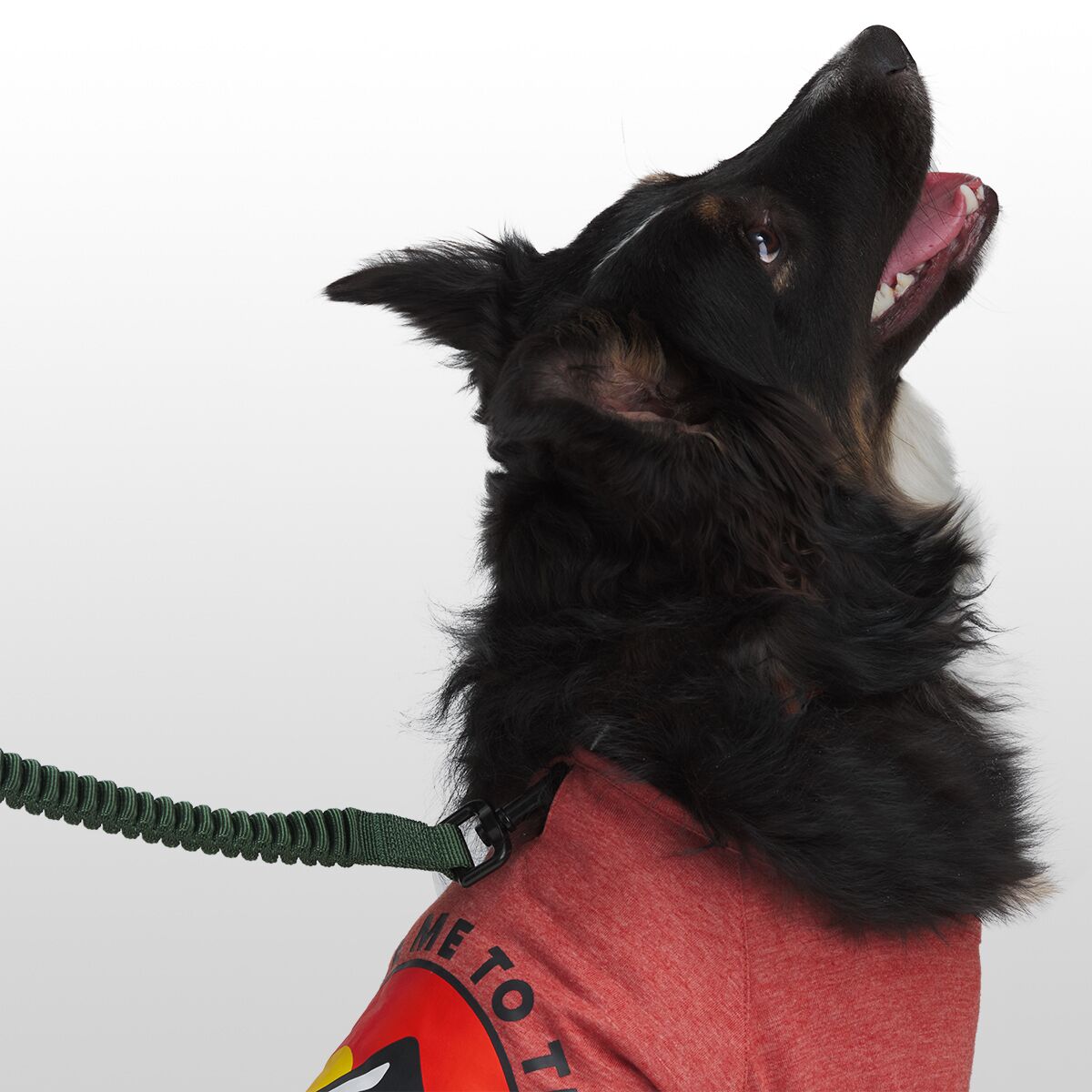 Backcountry x Petco The Sun Dog TShirt Hike & Camp