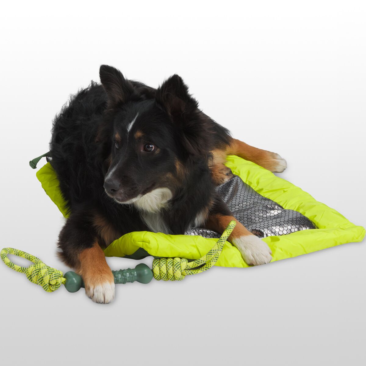 Backcountry x Petco The Dog Travel Mat Hike & Camp