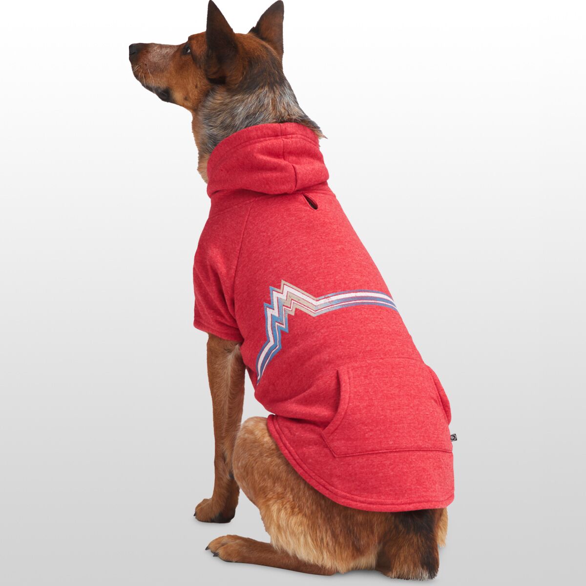 Backcountry x Petco The Hoodie Hike & Camp