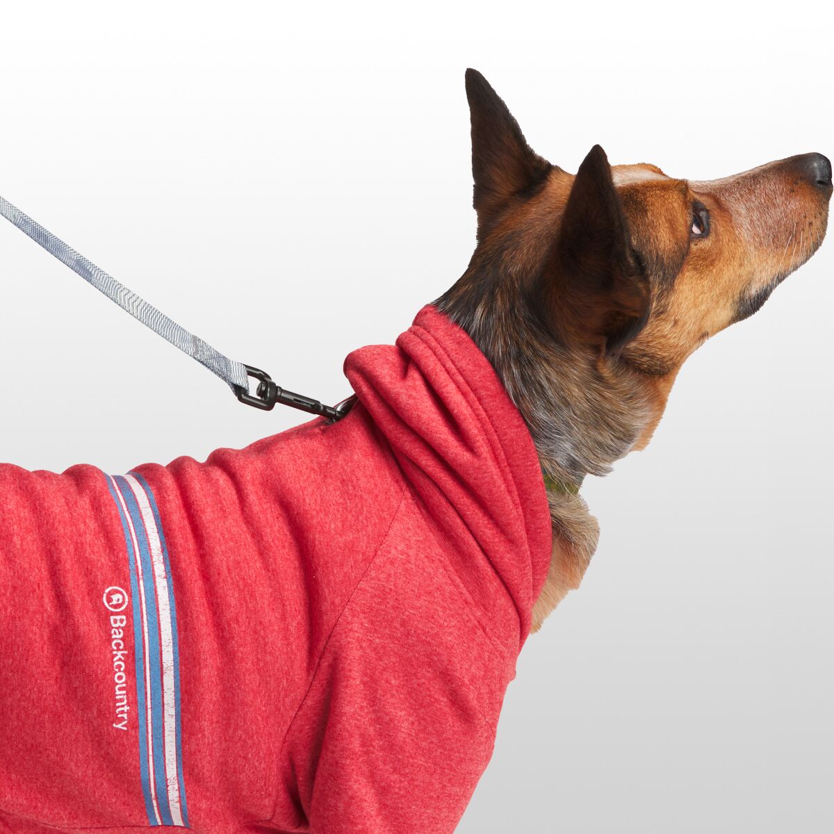 Backcountry x Petco The Hoodie Hike & Camp