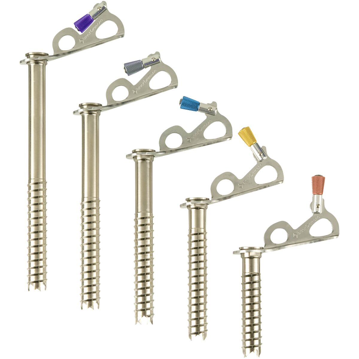 Black Diamond Express Ice Screws