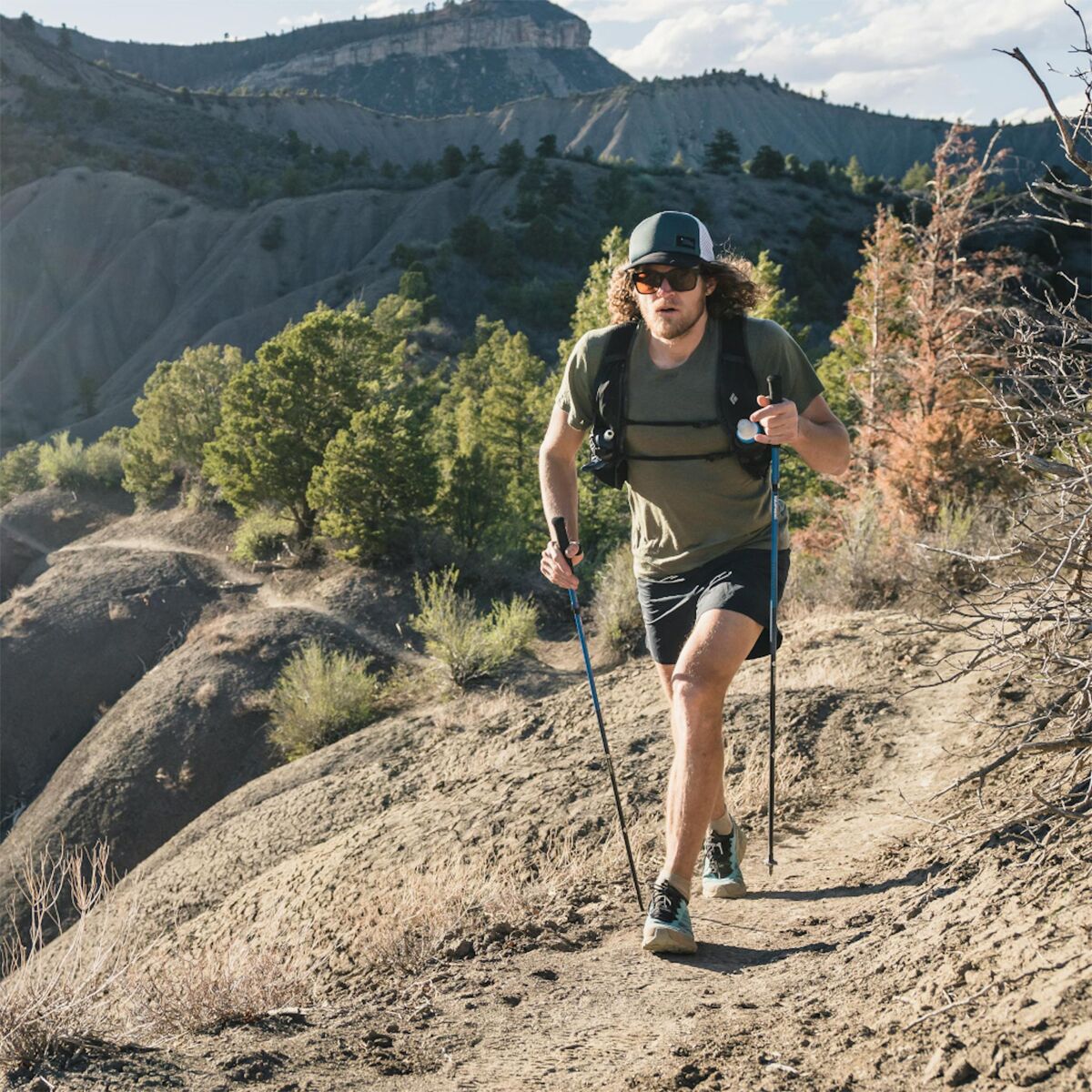 Black Diamond Distance Carbon Z Trekking Poles