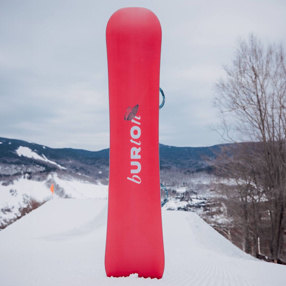 Burton Talent Scout Snowboard - 2025 - Women´s