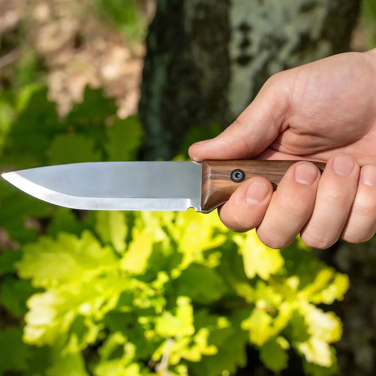 Beavercraft Bushcraft Knife