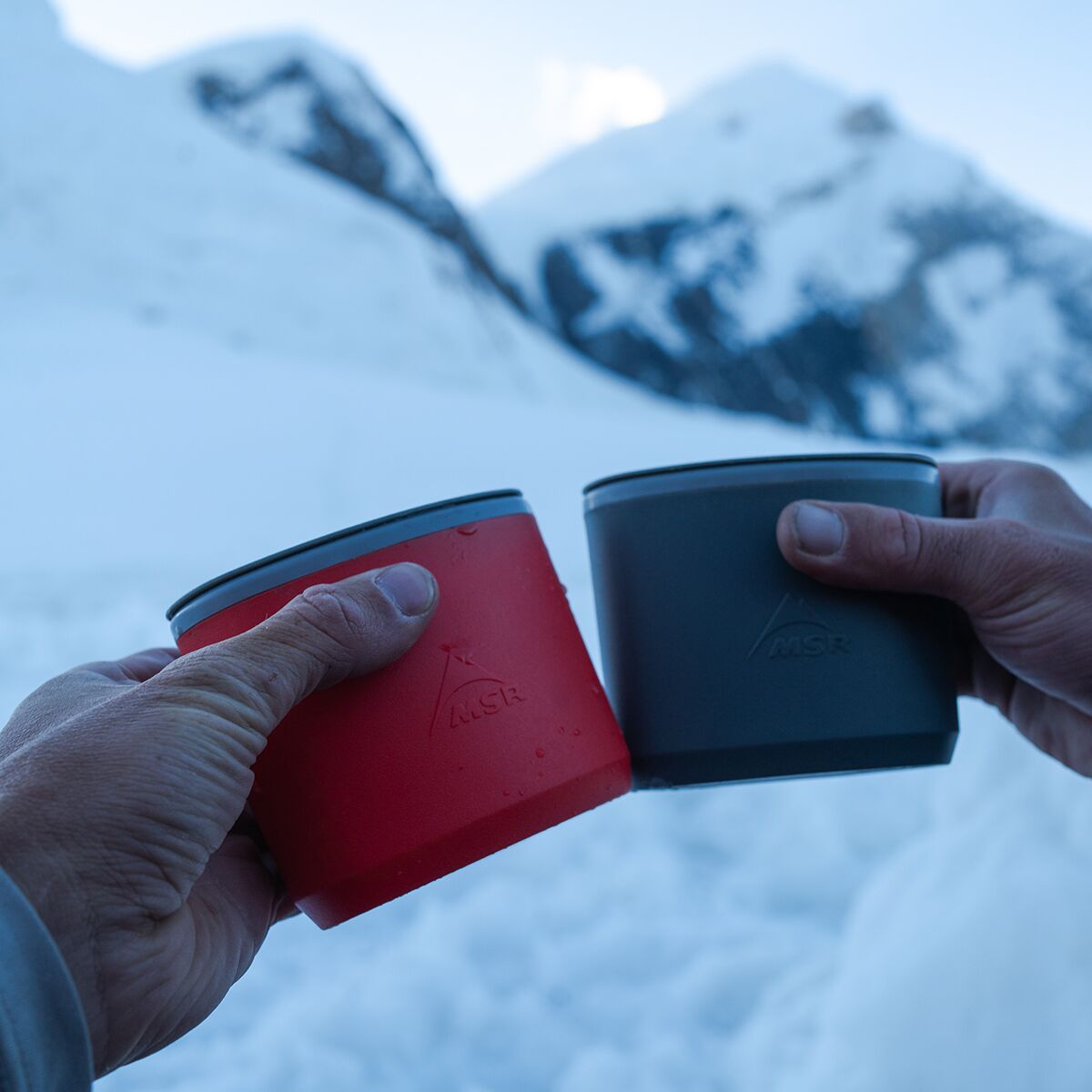 MSR Alpinist 2 System