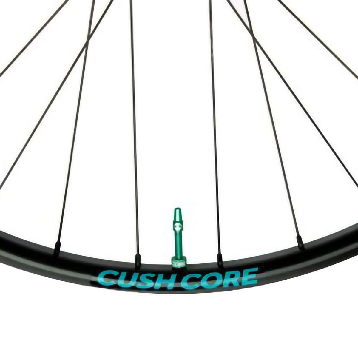 Cush Core Tubeless Valves