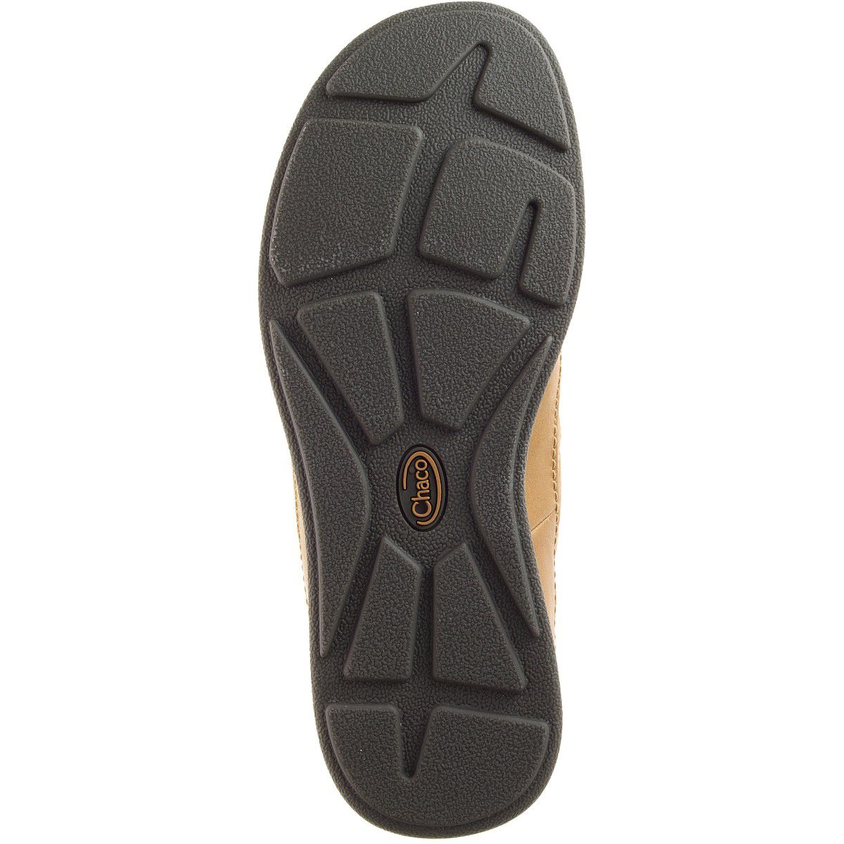 hoka one one vs asics nimbus