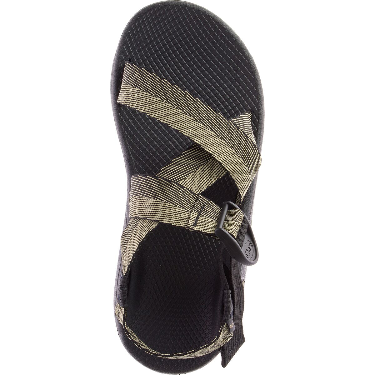 chaco mega z cloud kaleido katydid