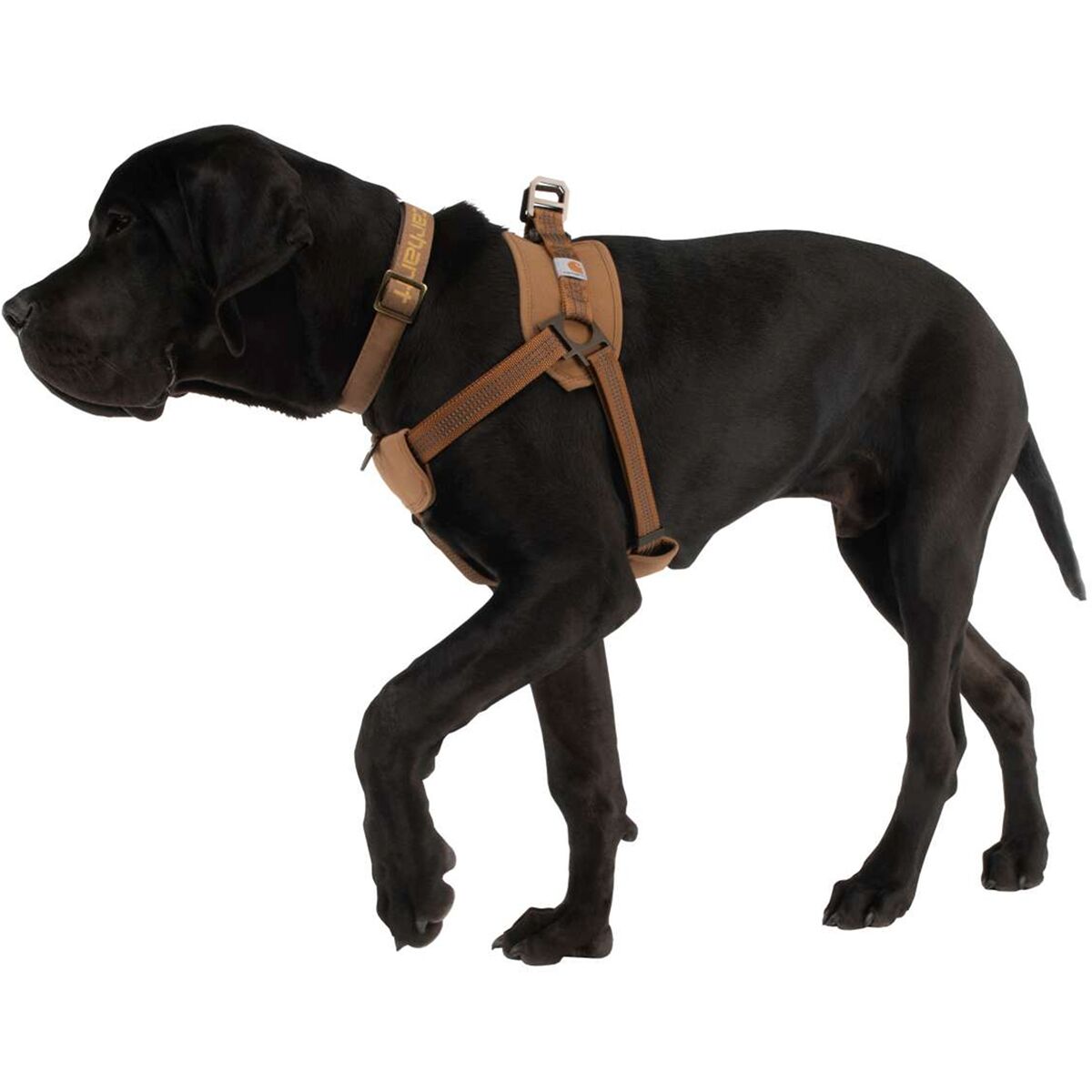 Carhartt Nylon Duck Training Dog Harness Hike & Camp
