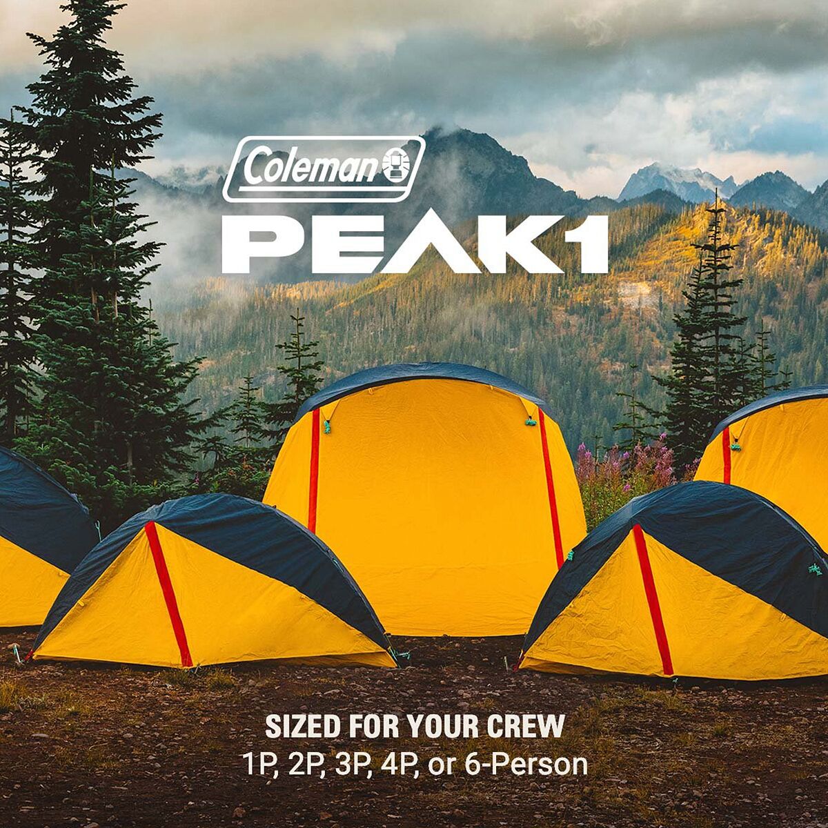 Coleman Peak1 Backpacking Tent: 3-Person 3-Season