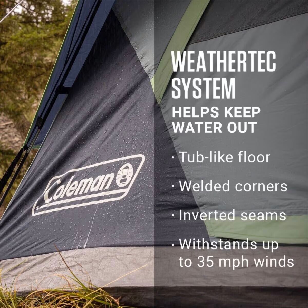 Coleman Skydome Tent: 8-Person 3-Season