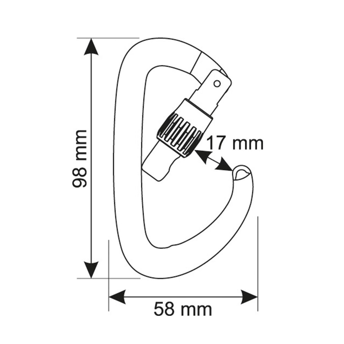 CAMP USA Orbit Locking Carabiner