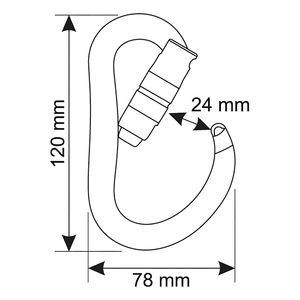 CAMP USA Atom 2 Locking Carabiner