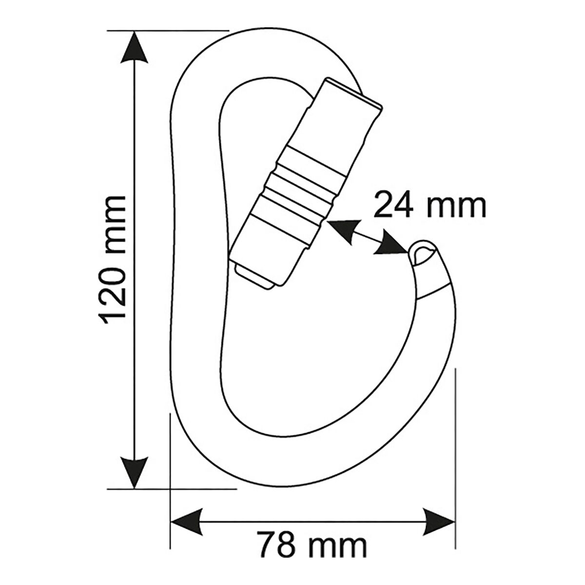 CAMP USA Atom 3 Locking Carabiner