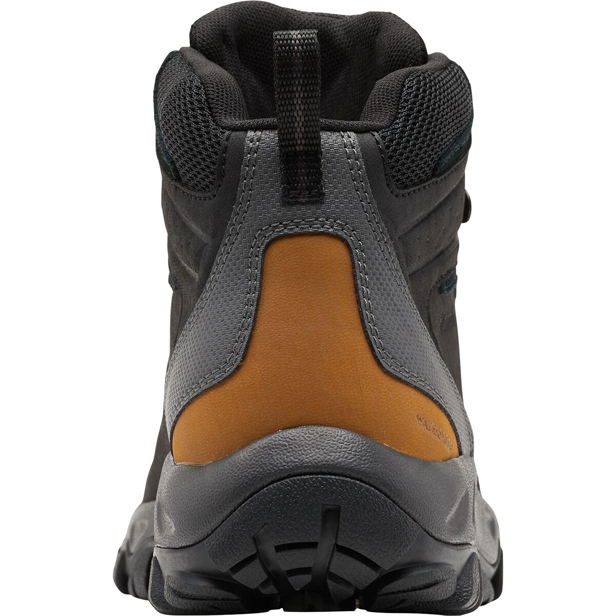 Columbia Newton Ridge Plus II Waterproof Hiking Boot - Men's - Footwear