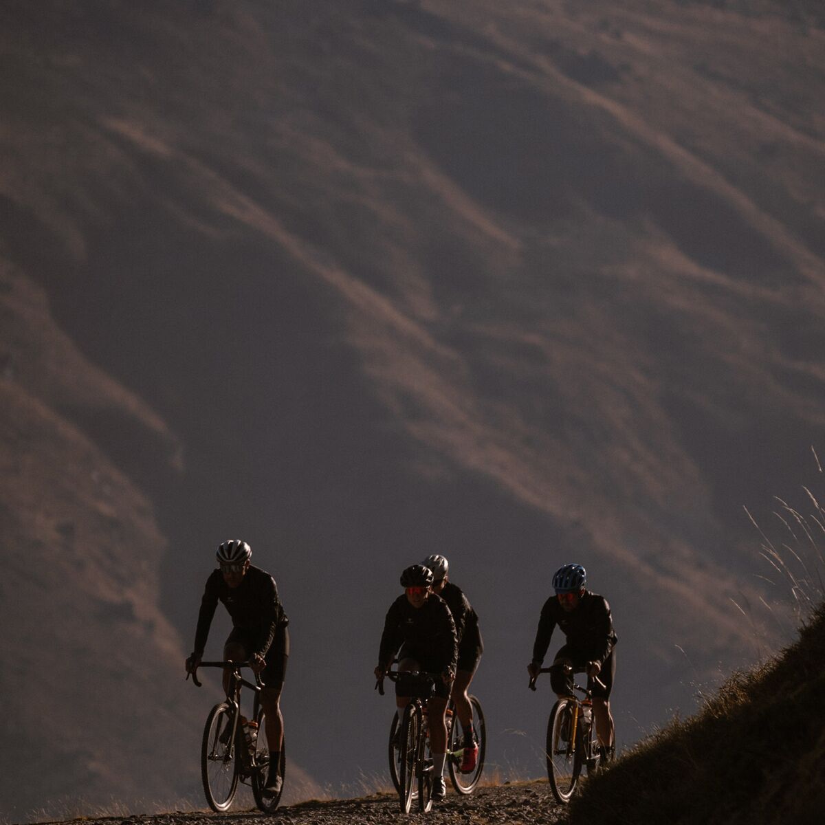 Continental Terra Trail ShieldWall Tire - Tubeless