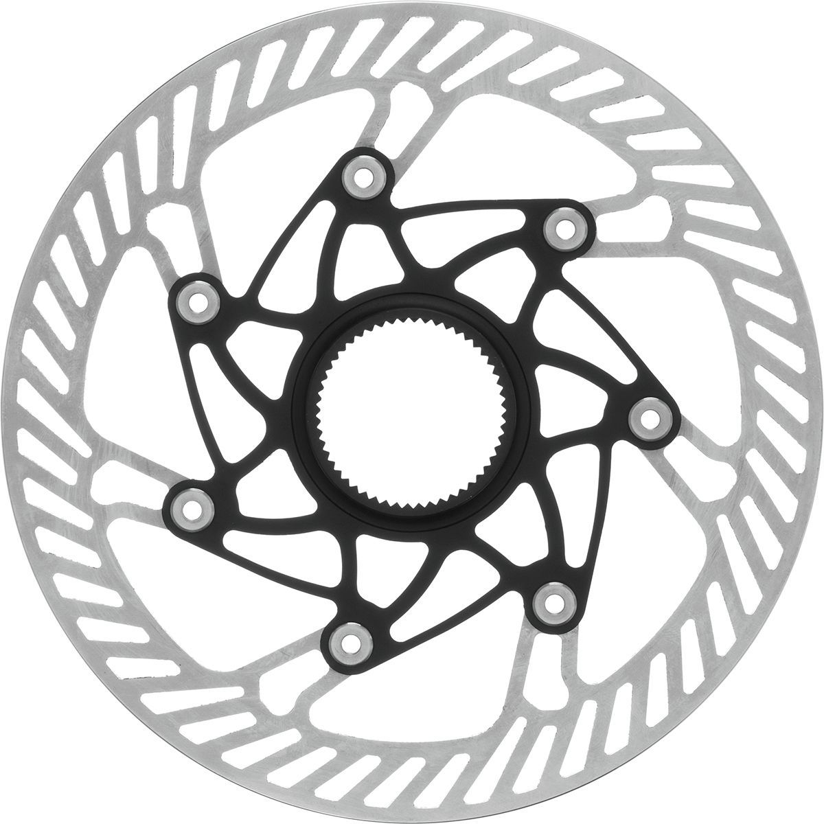 campagnolo 160mm rotor