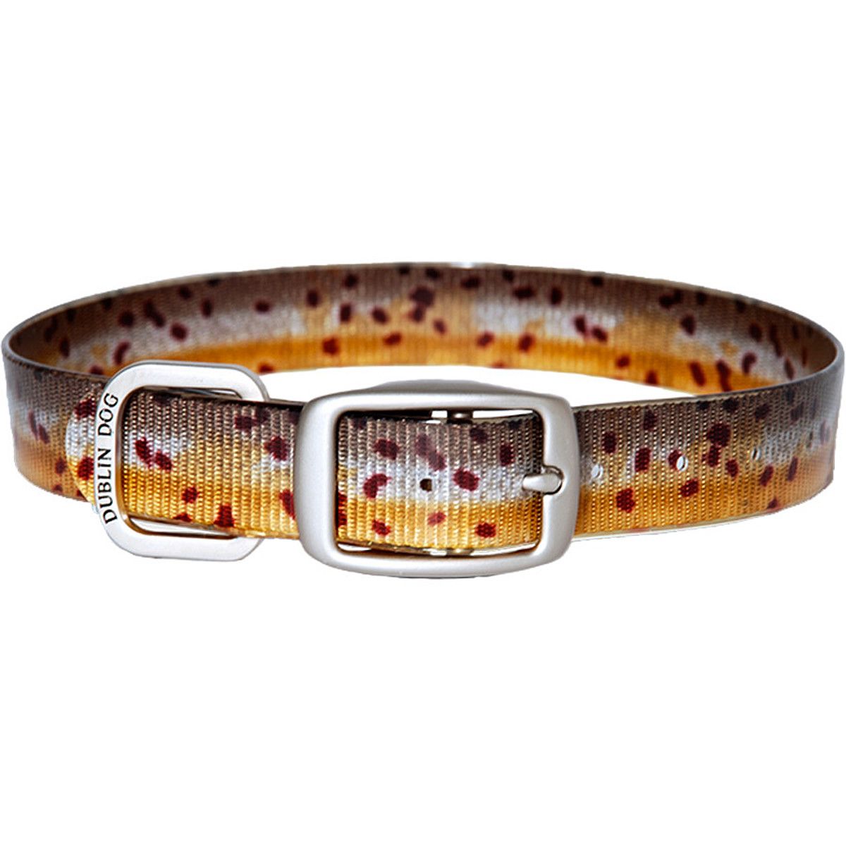 Dublin Dog Trout Dog Collar Hike & Camp