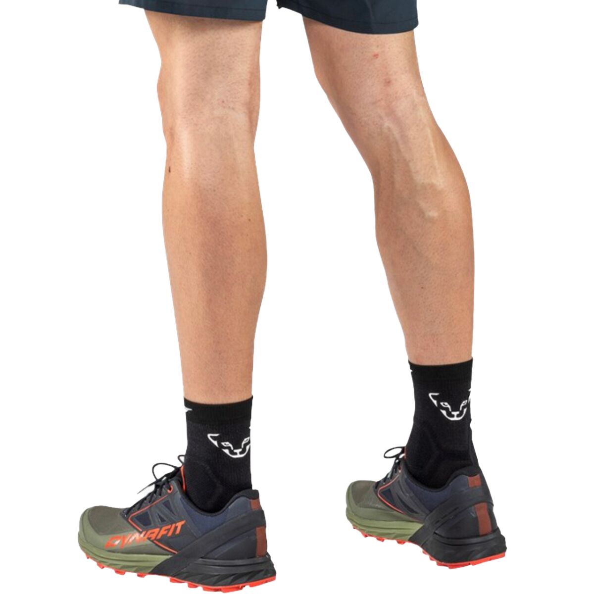 Dynafit Alpine Trail Running Shoe - Men´s
