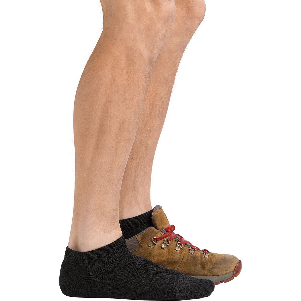 Darn Tough Light Hiker NoShow Lightweight Cushion Sock Accessories