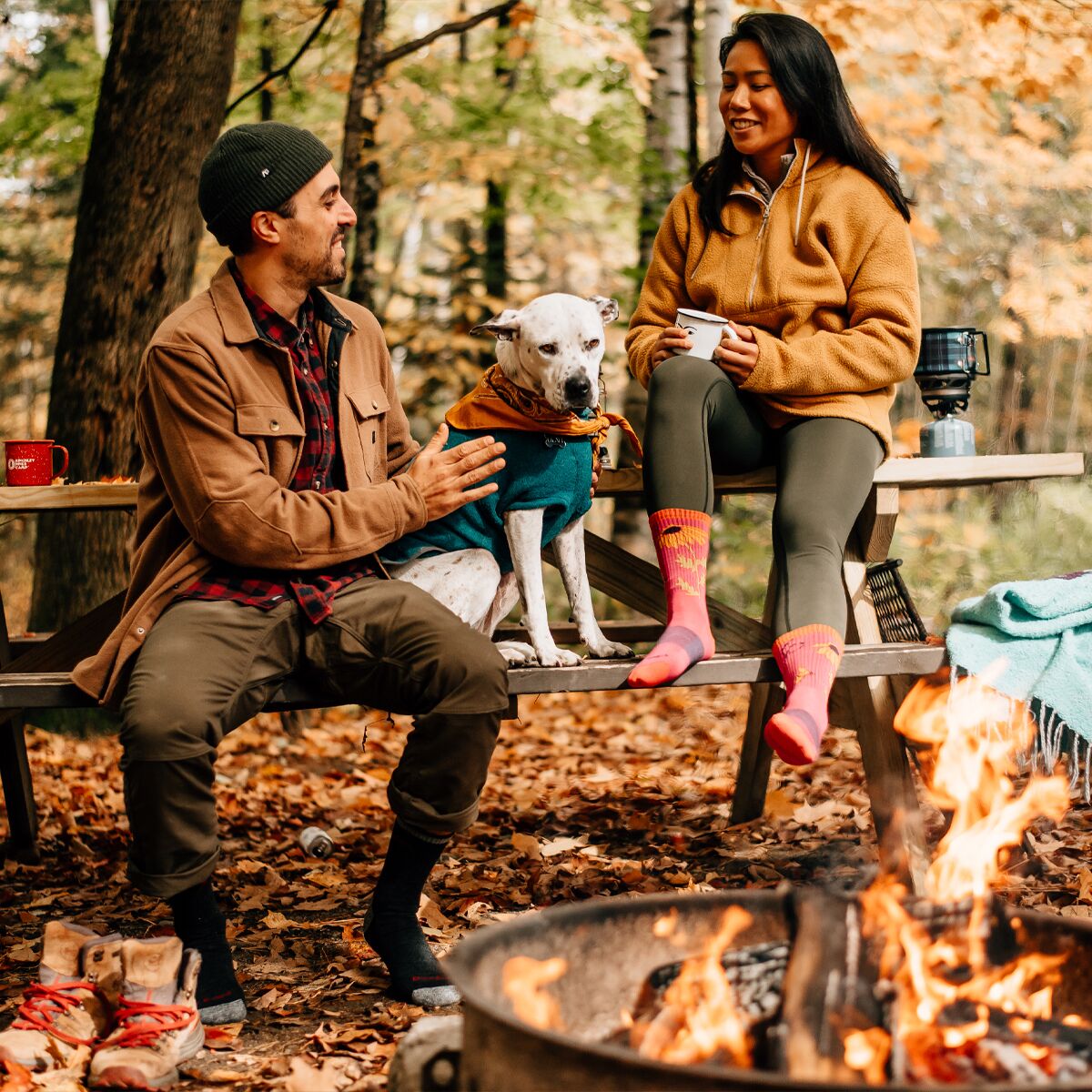 Darn Tough Queen Bee Micro Crew Lightweight Cushion Sock Women's