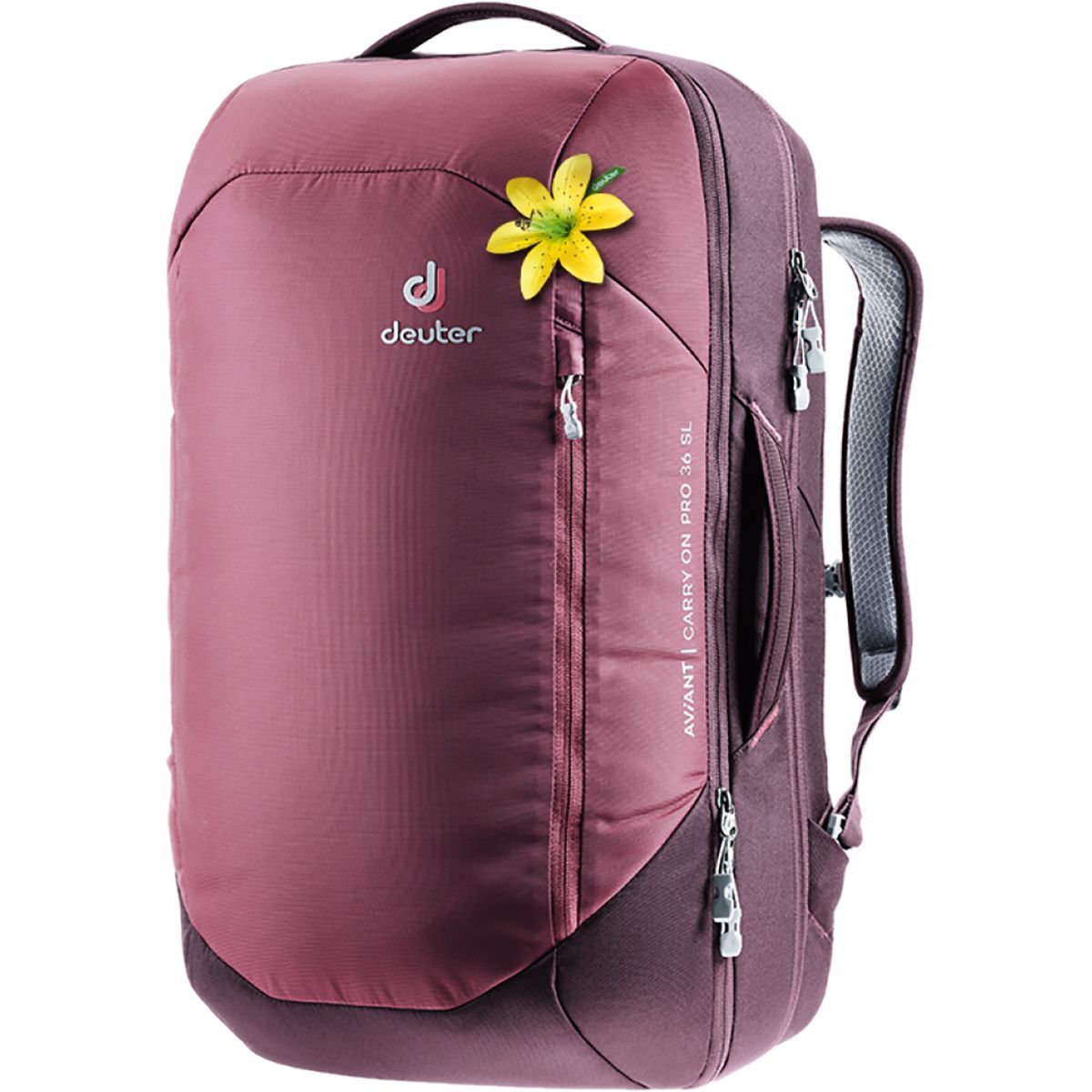 deuter carry on backpack