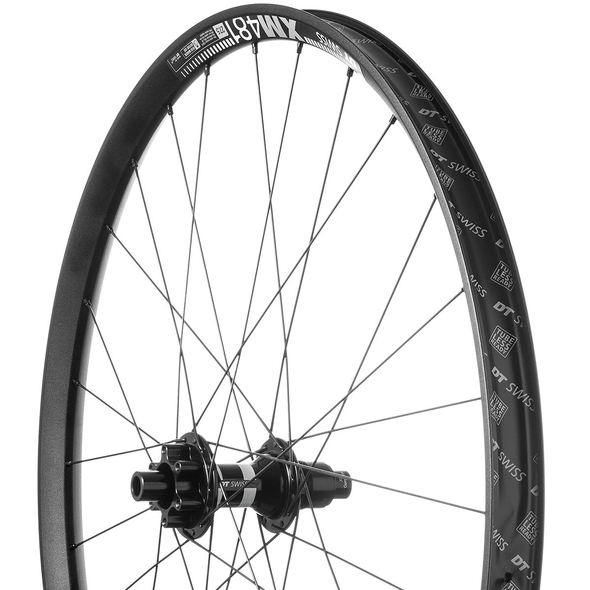 DT Swiss 350/DT XM481 Front Wheel - 29