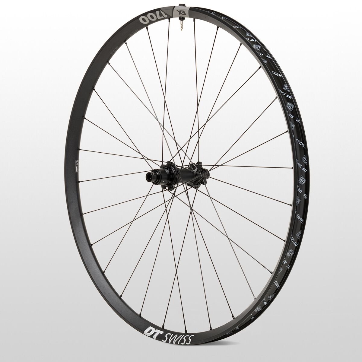 DT Swiss EX 1700 Spline 29in Boost Wheel