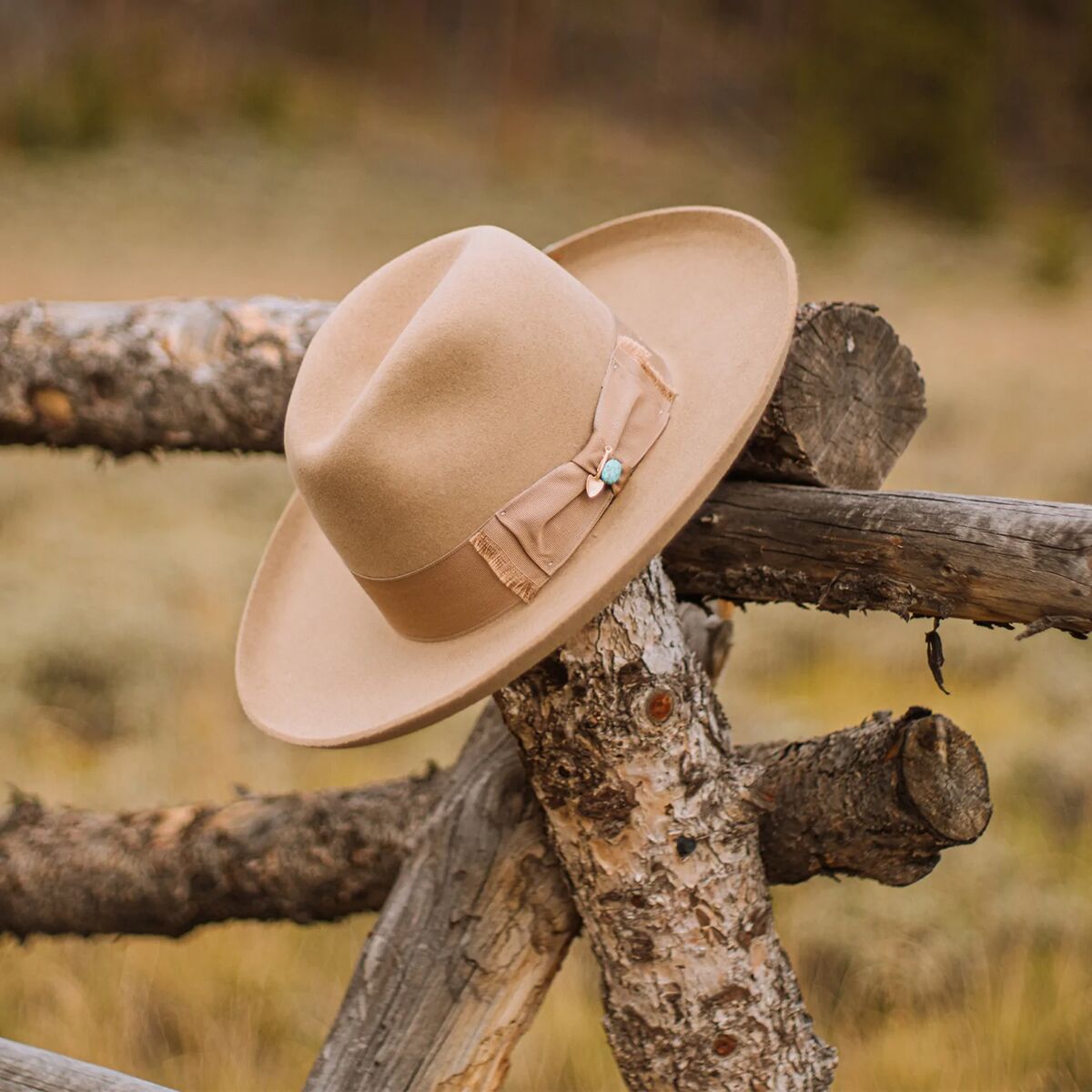 Stetson Eureka Hat Accessories