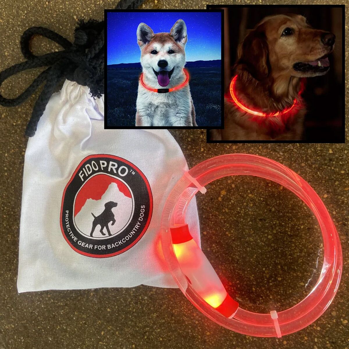 Fido Pro LED Collar
