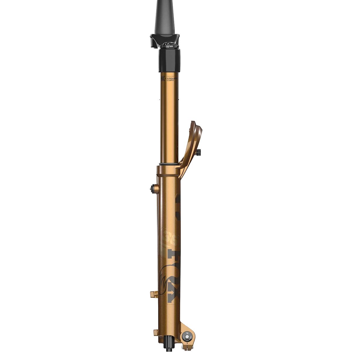 FOX Racing Shox 36 Float 29in Factory Grip X Fork - Limited...