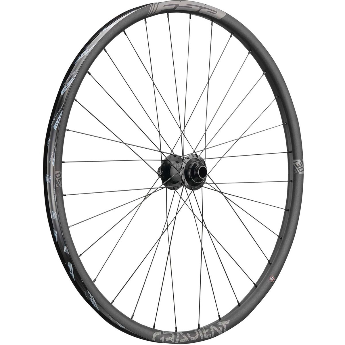 FSA Gradient DH i30 29in Boost Wheelset