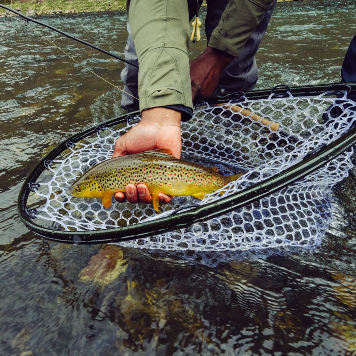 Fishpond Nomad Mid-Length Net