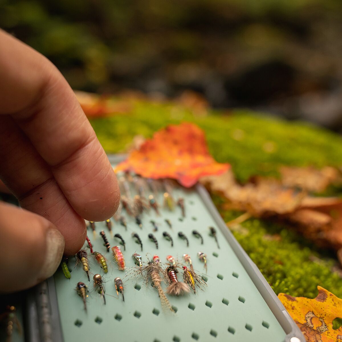 Fishpond Tacky Daypack Fly Box