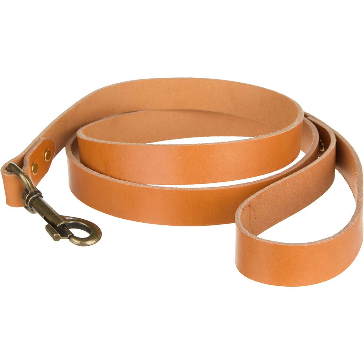 bridle leather dog leash