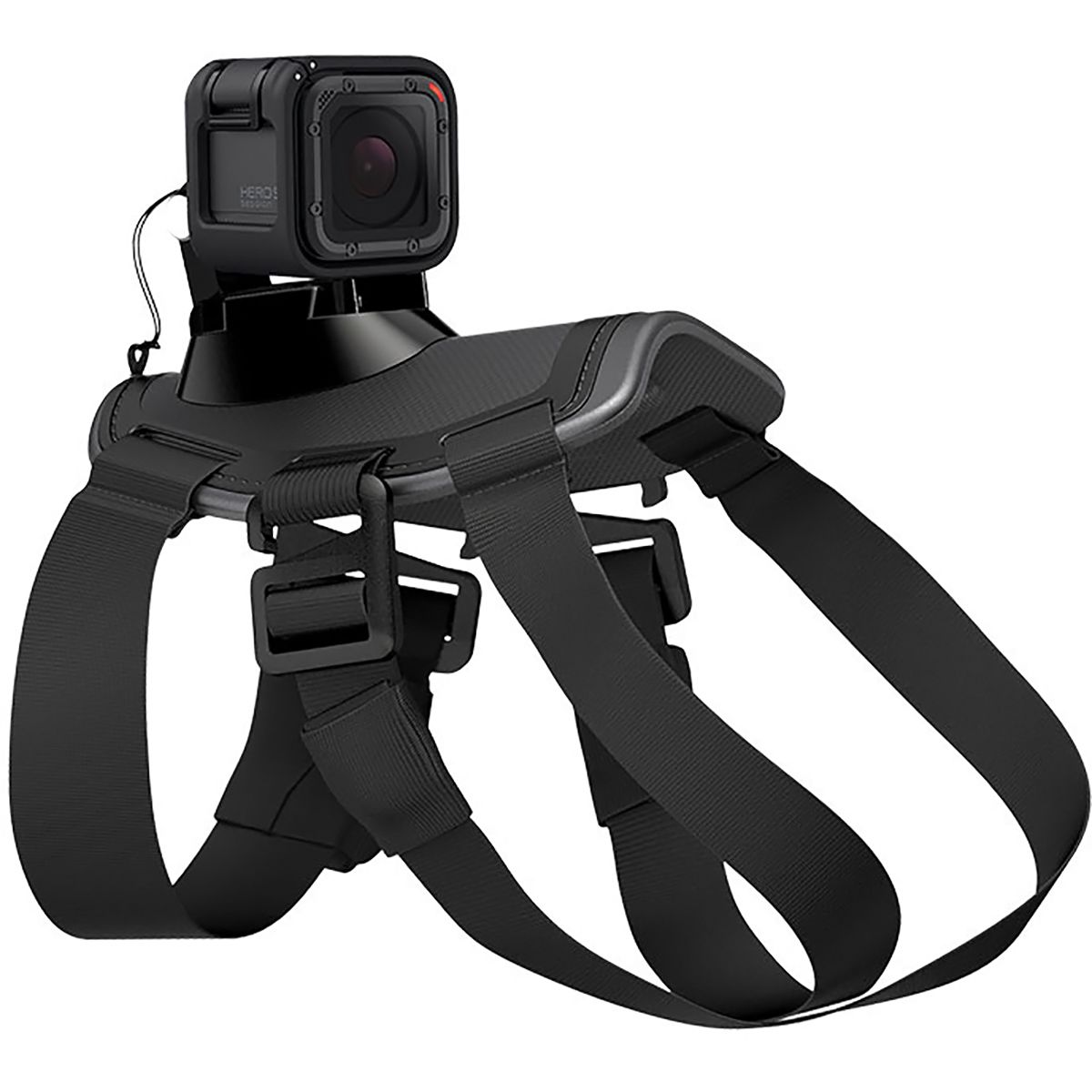GoPro Fetch Dog Harness